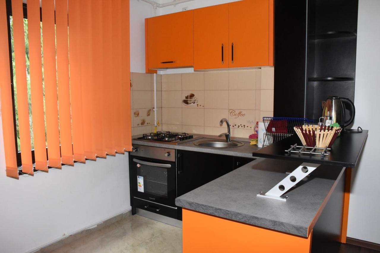 Hotel Apartament Eldya Comfort&Suites Predeal Exteriér fotografie
