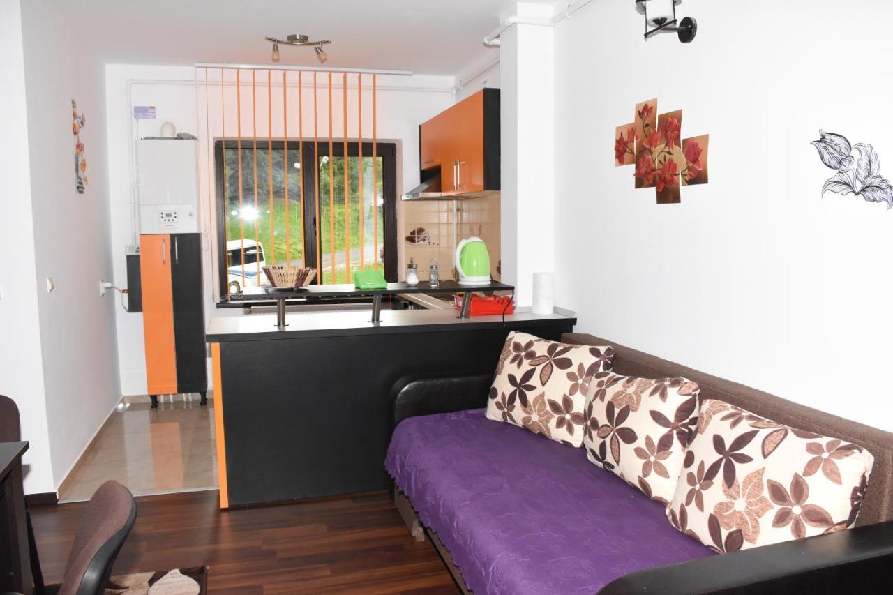 Hotel Apartament Eldya Comfort&Suites Predeal Exteriér fotografie