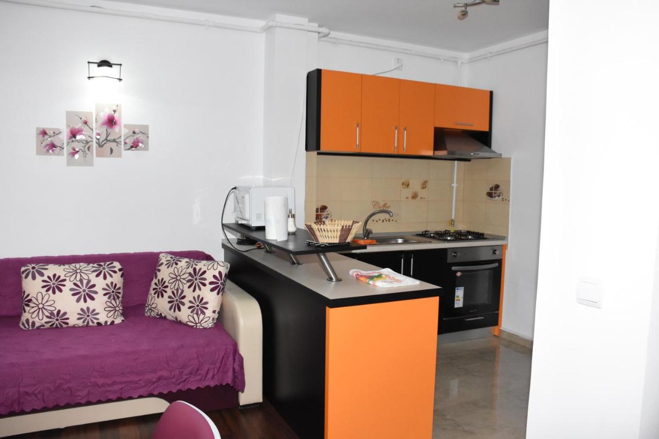 Hotel Apartament Eldya Comfort&Suites Predeal Exteriér fotografie
