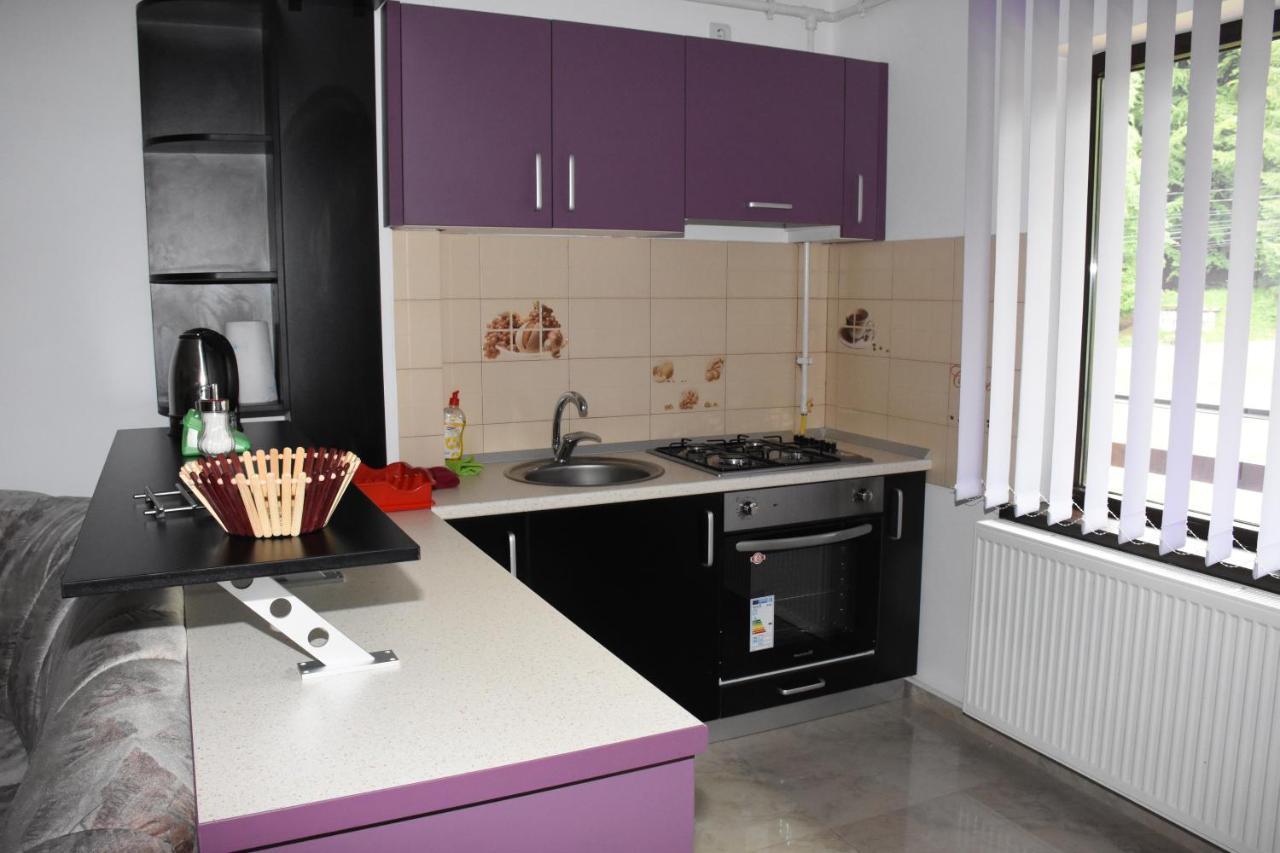Hotel Apartament Eldya Comfort&Suites Predeal Exteriér fotografie